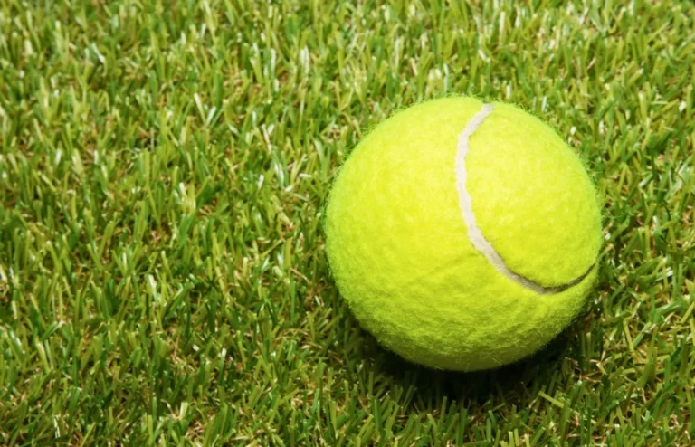 balle de tennis astuce jardinage