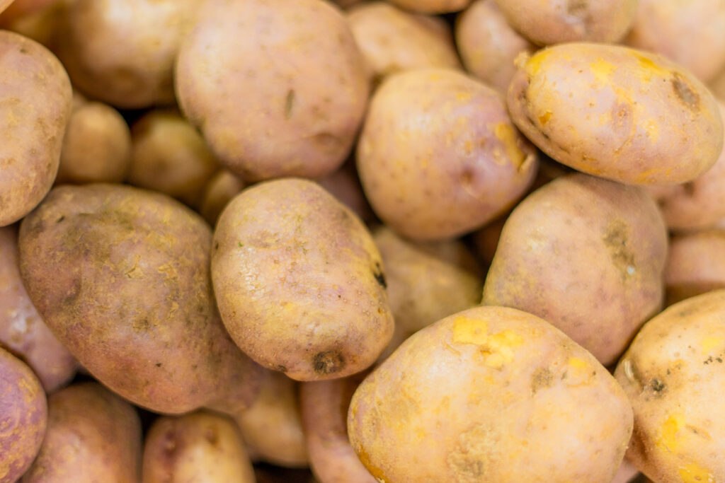 pommes de terre colombia