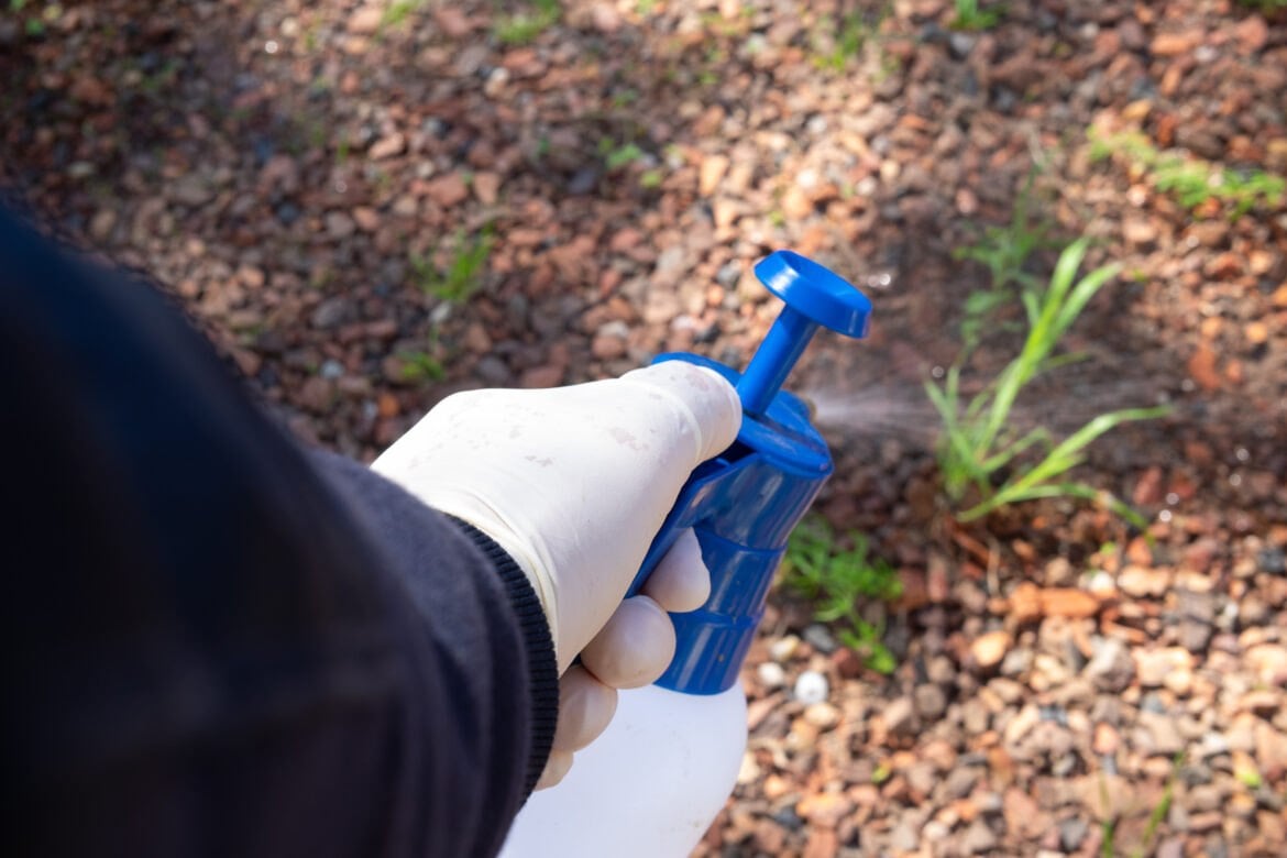 Désherber avec du chlore de piscine : dangers, conseils et alternatives désherber avec du chlore piscine