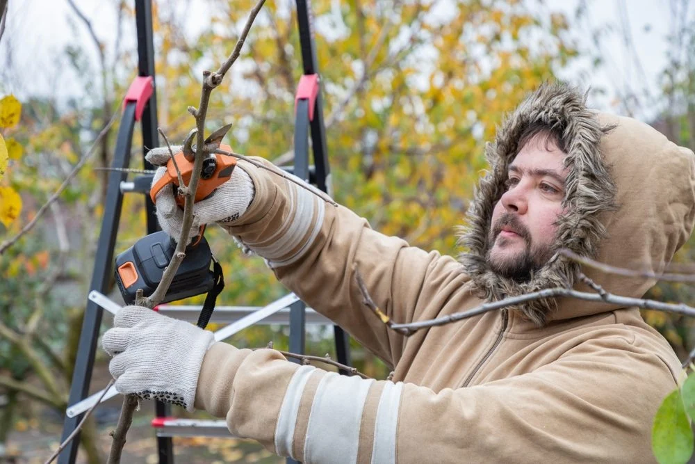 Ne négligez surtout pas la taille de ces 9 arbres fruitiers cet hiver (sinon, adieu la récolte) taille arbres fruitiers hiver