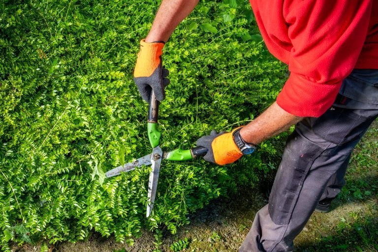 interdiction jardin amende mars