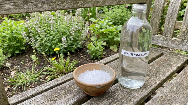 Bouteille de vinaigre blanc et bol de sel sur un banc en bois, avec un jardin luxuriant en arrière-plan.