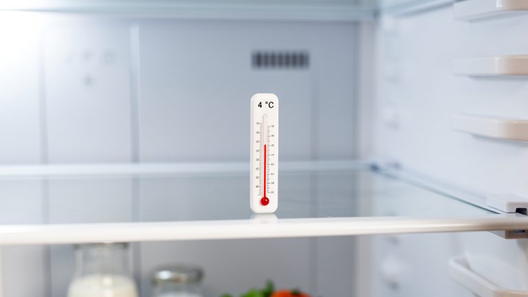 Vous réglez sûrement mal votre frigo : le chiffre idéal en pleine chaleur