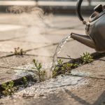 Femme versant de l'eau bouillante entre les dalles d'une terrasse pour éliminer les mauvaises herbes